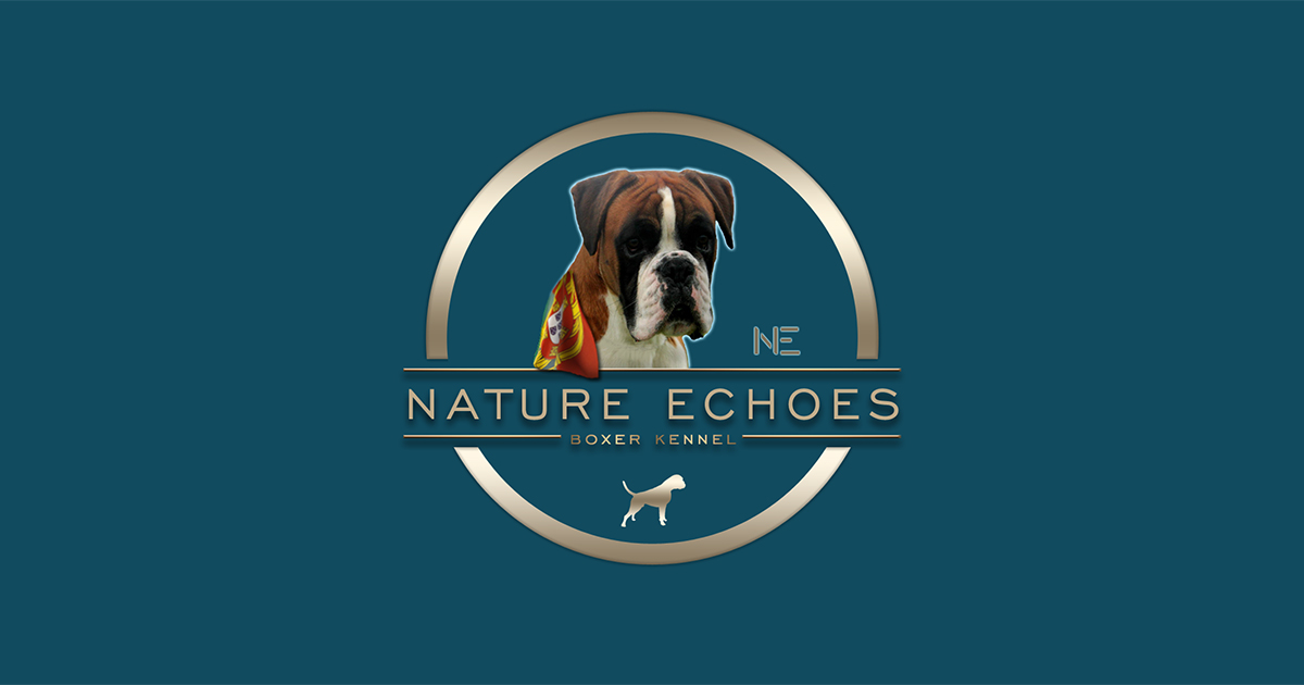 Nature Echoes Boxer Kennel - A nossa Criação!