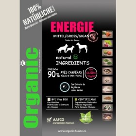 organic_energie