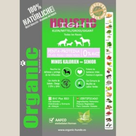 organic_light_holistic